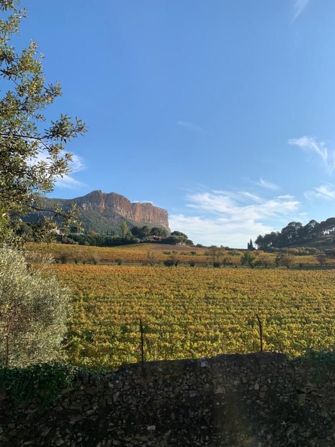 Large Private Garden, Quiet 2-Bedroom Apartment, Air Conditioning, Wifi, Parking Cassis Esterno foto