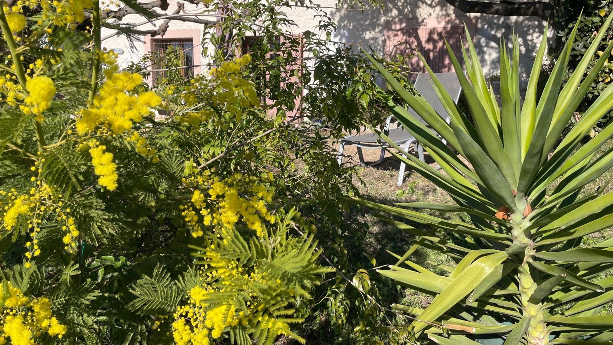 Large Private Garden, Quiet 2-Bedroom Apartment, Air Conditioning, Wifi, Parking Cassis Esterno foto